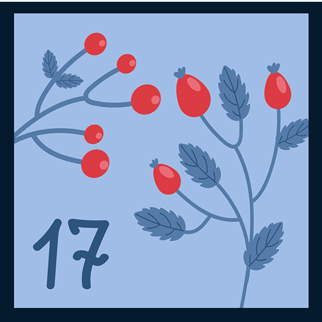 parallelbewegt advent tuerchen 17