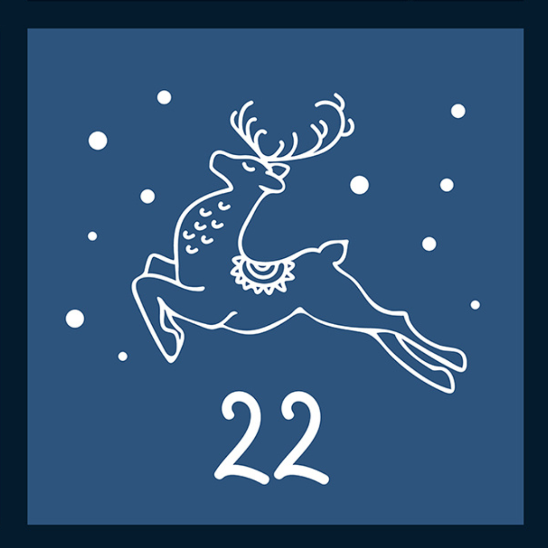 parallelbewegt advent tuerchen 22